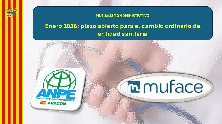 mufaceplazoordinario