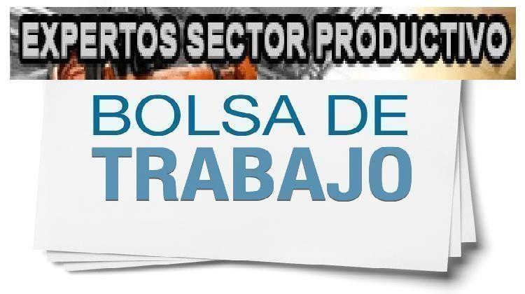 bolsaexpertos
