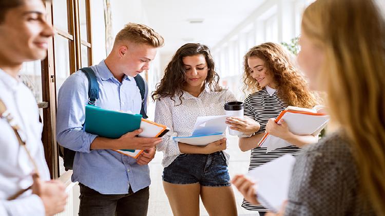 Regulación programas de diversificación curricular en la etapa de Educación Secundaria Obligatoria en CLM.