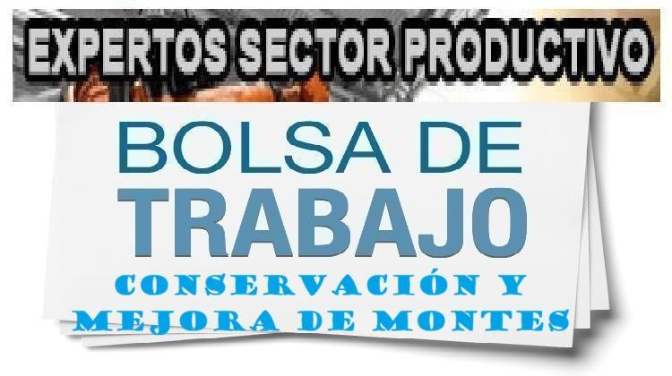 Selección bolsa de profesorado experto del sector productivo Actividades Auxiliares en Conservación y Mejora de Montes