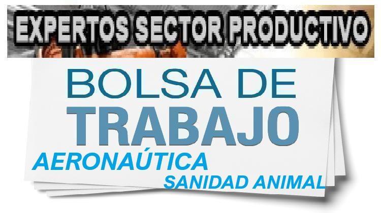 Bolsas de profesorado experto para módulos de aeronáutica y sanidad animal en el IES Aguas Nuevas (Albacete)