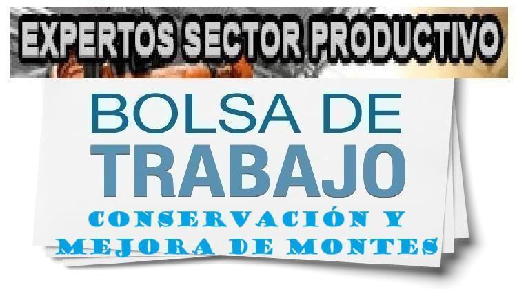 Resolucion Provisional Bolsa profesorado experto sector productivo Actividades Auxiliares en Conservación y Mejora de Montes